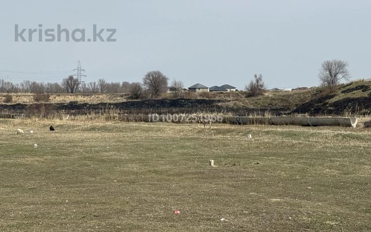 Участок · 5 соток, Коктоган (Чапаев) за 4.2 млн ₸ — фото 6
