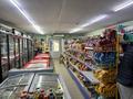 Магазины и бутики · 500 м² за 280 млн ₸ в Алматы, Ауэзовский р-н — фото 6