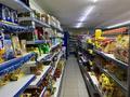 Магазины и бутики · 500 м² за 280 млн ₸ в Алматы, Ауэзовский р-н — фото 8