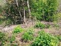 Участок · 6 соток, мкр Кенсай 1 за 4.5 млн ₸ в Алматы, Медеуский р-н — фото 2