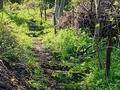 Участок · 6 соток, мкр Кенсай 1 за 4.5 млн ₸ в Алматы, Медеуский р-н — фото 6