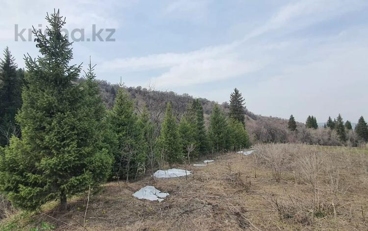 Участок · 1 га, Рыскулово за 170 млн ₸ — фото 2