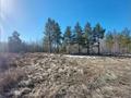 Участок · 60 соток, Сосновый бор за 20 млн ₸ в Костанае — фото 5