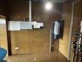 Жеке үй · 5 бөлме · 250 м² · 10 жүзд., Альтаир 13, бағасы: 120 млн ₸ в Байбулаке — фото 39