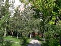3-комнатная квартира · 68.5 м² · 9/10 этаж, Камзина 350 за 25 млн ₸ в Павлодаре