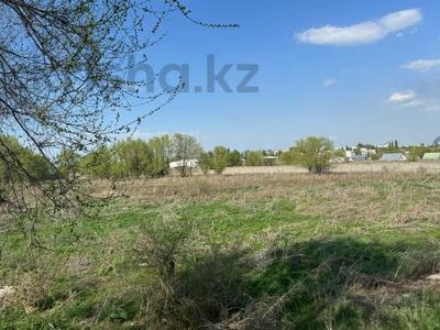 Участок · 1.8 га, Достык за 190 млн ₸ в Долане