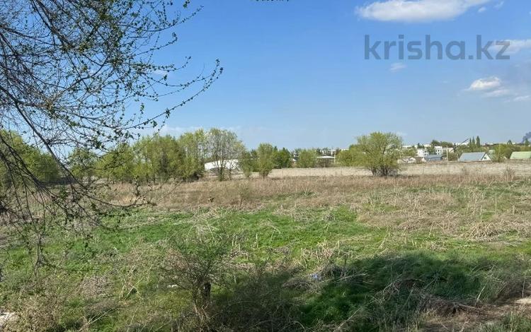 Участок · 1.8 га, Достык за 190 млн ₸ в Долане — фото 2