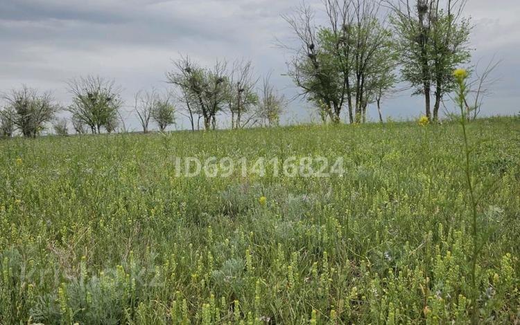 Участок · 300 га, Байсерке за 50 млн 〒 — фото 6