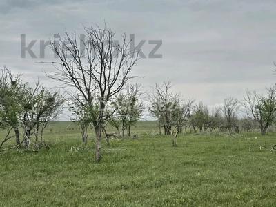 Продажа участков в Алматинской обл.: Участок · 300 га, Байсерке за 90 млн 〒 Участок · 300 га, Байсерке за 90 млн 〒