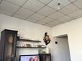 Отдельный дом · 14 комнат · 400 м² · 9 сот., Турмаганбетова 20/1 — По 2gis Абылайхана 20/1 за 80 млн ₸ в  — фото 9