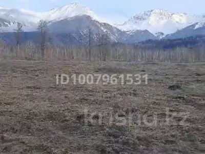 Участок · 1 га, Катон-Карагай за 125 млн 〒