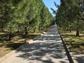 Отдельный дом · 7 комнат · 1000 м² · 150 сот., Лазурный берег за 1.5 млрд ₸ в Конаеве — фото 12