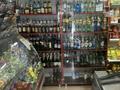 Магазины и бутики • 59.2 м² за 45 млн 〒 в Астане, Сарыарка р-н — фото 17