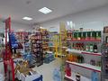 Отдельный дом · 4 комнаты · 303 м² · 10 сот., мкр Жулдыз-2, Койшагали Доскалиева 46 за 60 млн ₸ в Атырау — фото 7