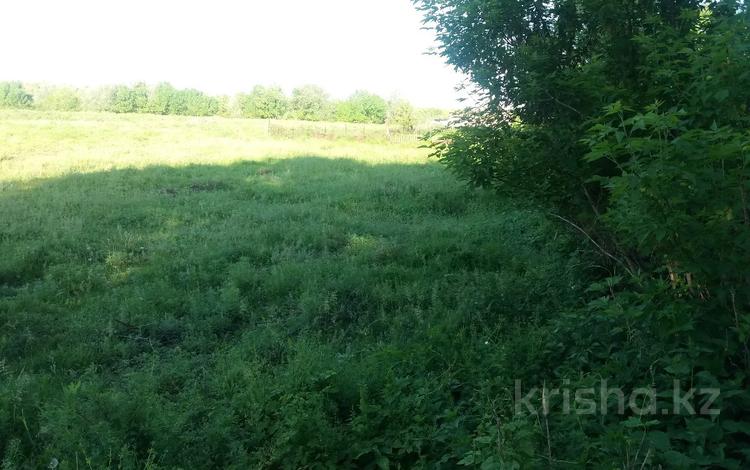 Участок · 15 соток, Ленина 17 за 3.5 млн ₸ в Западно-Казахстанской обл. — фото 2