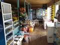 Магазины и бутики • 95 м² за 6.5 млн 〒 в Конаеве (Капчагай)