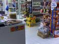 Магазины и бутики · 72 м² за 40 млн ₸ в Алматы, Наурызбайский р-н