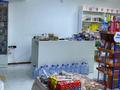 Магазины и бутики · 72 м² за 40 млн ₸ в Алматы, Наурызбайский р-н — фото 5