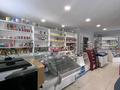 Магазины и бутики · 85 м² за 33.6 млн ₸ в Усть-Каменогорске — фото 10