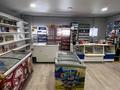 Магазины и бутики · 85 м² за 33.6 млн ₸ в Усть-Каменогорске — фото 8