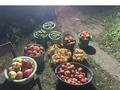 Жеке үй · 3 бөлме · 35 м² · 10 жүзд., Орленок — Святой ключ, бағасы: 5 млн ₸ в Семее — фото 10
