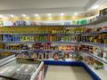 Магазины и бутики • 1625 м² за 39 млн 〒 в Кызылтобе — фото 3