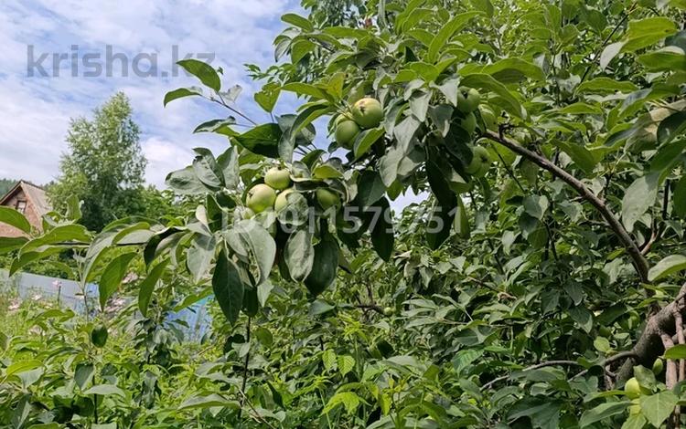 Жеке үй · 2 бөлме · 15 м² · 12 сот., Ореховая 5, бағасы: 1.5 млн ₸ в Новой бухтарме — фото 2