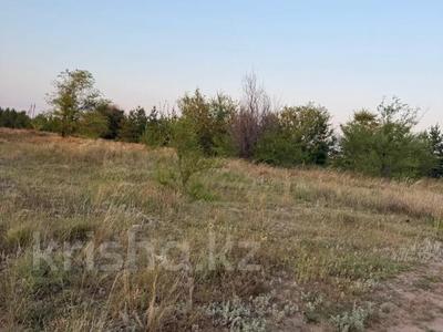 Участок · 10.5 соток, Тр, Костанай-Аулиеколь-Сурган 586 за 11 млн ₸ в Мичуринское