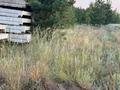 Участок · 10.5 соток, Тр, Костанай-Аулиеколь-Сурган 586 за 11 млн ₸ в Мичуринское — фото 7
