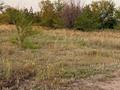 Участок · 10.5 соток, Тр, Костанай-Аулиеколь-Сурган 586 за 11 млн ₸ в Мичуринское — фото 8