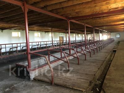 Свободное назначение · 3000 м² за 270 млн ₸ в Есик
