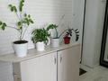 1-комнатная квартира · 33.7 м² · 5/6 этаж, 32В мкр за 10 млн ₸ в Актау — фото 6