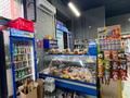 МАГАЗИН ПО СЕБЕСТОИМОСТИ · 100 м² за 14.5 млн ₸ в Астане, Нура р-н — фото 2