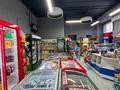 МАГАЗИН ПО СЕБЕСТОИМОСТИ · 100 м² за 14.5 млн ₸ в Астане, Нура р-н — фото 15