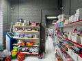 МАГАЗИН ПО СЕБЕСТОИМОСТИ · 100 м² за 14.5 млн ₸ в Астане, Нура р-н — фото 16