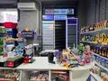 МАГАЗИН ПО СЕБЕСТОИМОСТИ · 100 м² за 14.5 млн ₸ в Астане, Нура р-н — фото 8
