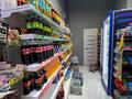 МАГАЗИН ПО СЕБЕСТОИМОСТИ · 100 м² за 14.5 млн ₸ в Астане, Нура р-н — фото 10