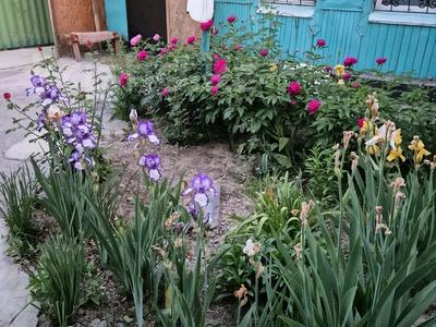 Отдельный дом · 3 комнаты · 45 м² · 3 сот., Переулок Московский — Бартольда за 28 млн ₸ в Алматы, Турксибский р-н