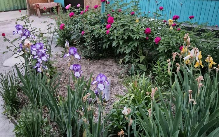 Отдельный дом · 3 комнаты · 45 м² · 3 сот., Переулок Московский — Бартольда за 28 млн ₸ в Алматы, Турксибский р-н — фото 27