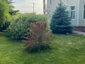 Отдельный дом · 6 комнат · 270 м² · 18 сот., Самал 7/3 за 162 млн ₸ в Кыргауылдах — фото 20