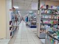 Магазины и бутики • 1779.5 м² за 650 млн 〒 в Усть-Каменогорске — фото 6