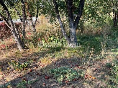 Отдельный дом · 2 комнаты · 45 м² · 14 сот., Грушовая за 25 млн ₸ в Жандосов
