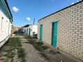 Отдельный дом · 4 комнаты · 100 м² · 12 сот., Алихана Бокейханова 53 — Суворкина за 20 млн ₸ в Семее — фото 14