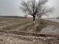 Участок 6 соток, Енбекшы дикан 4 — Трасса кентау за 8 млн 〒 в Туркестане — фото 3