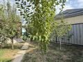 Жеке үй · 7 бөлме · 208.4 м² · 4 жүзд., Нарумова 9, бағасы: 69 млн ₸ в Туздыбастау (Калинино) — фото 34