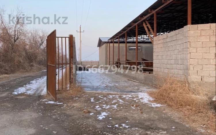 Ауыл шаруашылығы · 5000 м², бағасы: 300 млн ₸ в Жамбылской обл., Байзак — фото 3