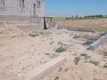 Жеке үй · 4 бөлме · 264 м² · 8 жүзд., Жана курылыс — Мкр. Асем-ай, бағасы: 8.5 млн ₸ в Шардара — фото 7
