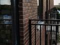 2-комнатная квартира · 55.3 м² · 5/5 этаж, Анжерская 41Б за ~ 20 млн ₸ в Караганде, Казыбек би р-н