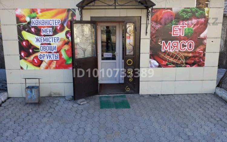 Продуктовый магазин · 100 м² за 85 млн ₸ в Караганде — фото 2