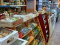 Продуктовый магазин · 100 м² за 85 млн ₸ в Караганде — фото 14